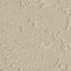 Oliva